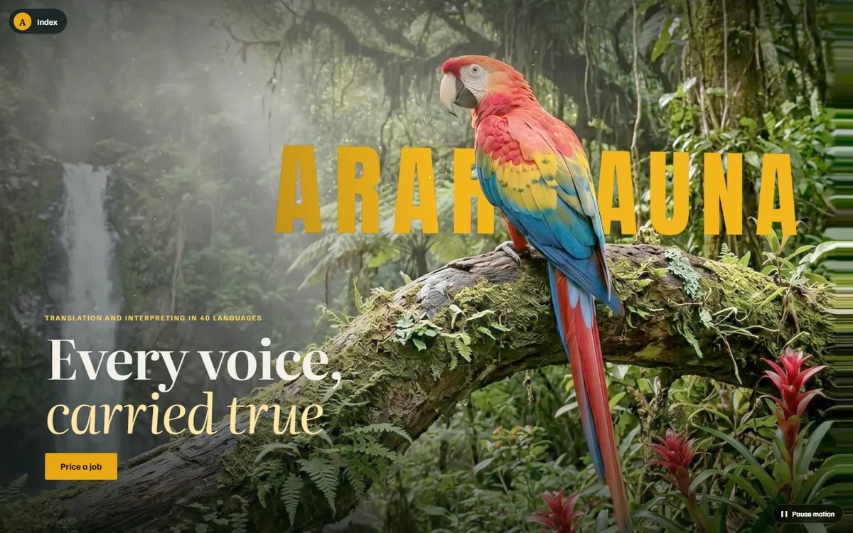 Ararauna Macaw Flight for a Translation Studio website template