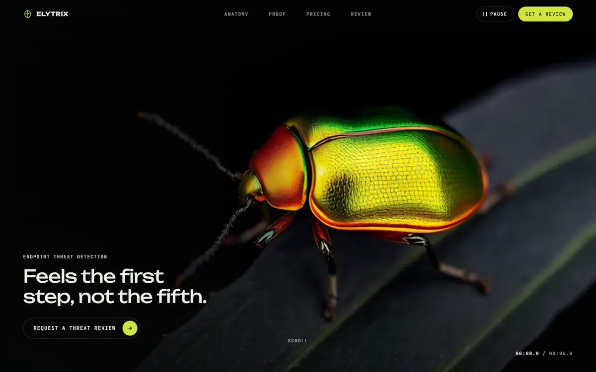 Elytrix Macro Beetle With Pendulum Anatomy Cards website template