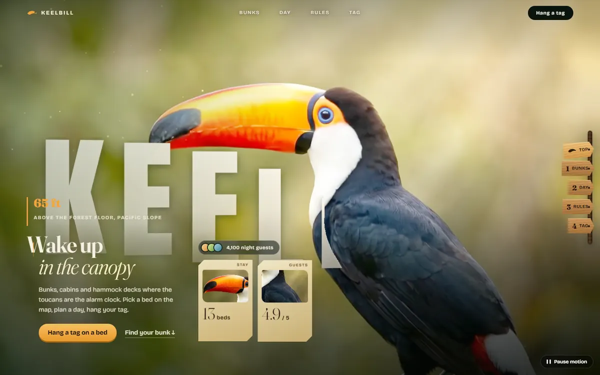 Keelbill Toucan Landing in a Canopy Hostel website template