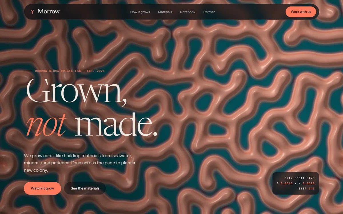 Reaction-Diffusion Coral Lab website template