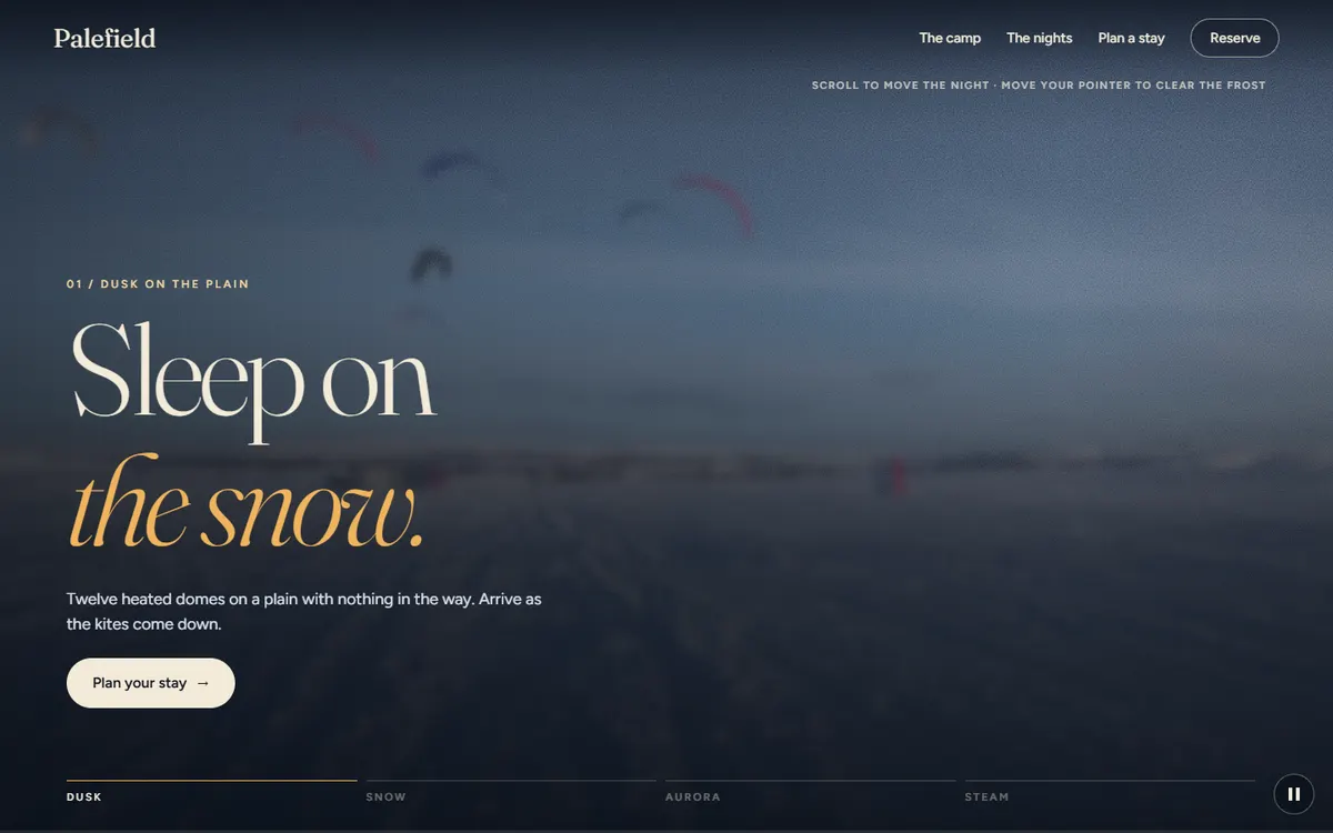 Palefield: a winter night on the snow, filmed website template