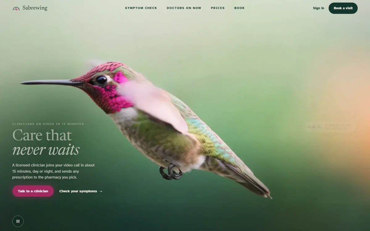 Sabrewing Hummingbird Hovering for a Telehealth Service website template