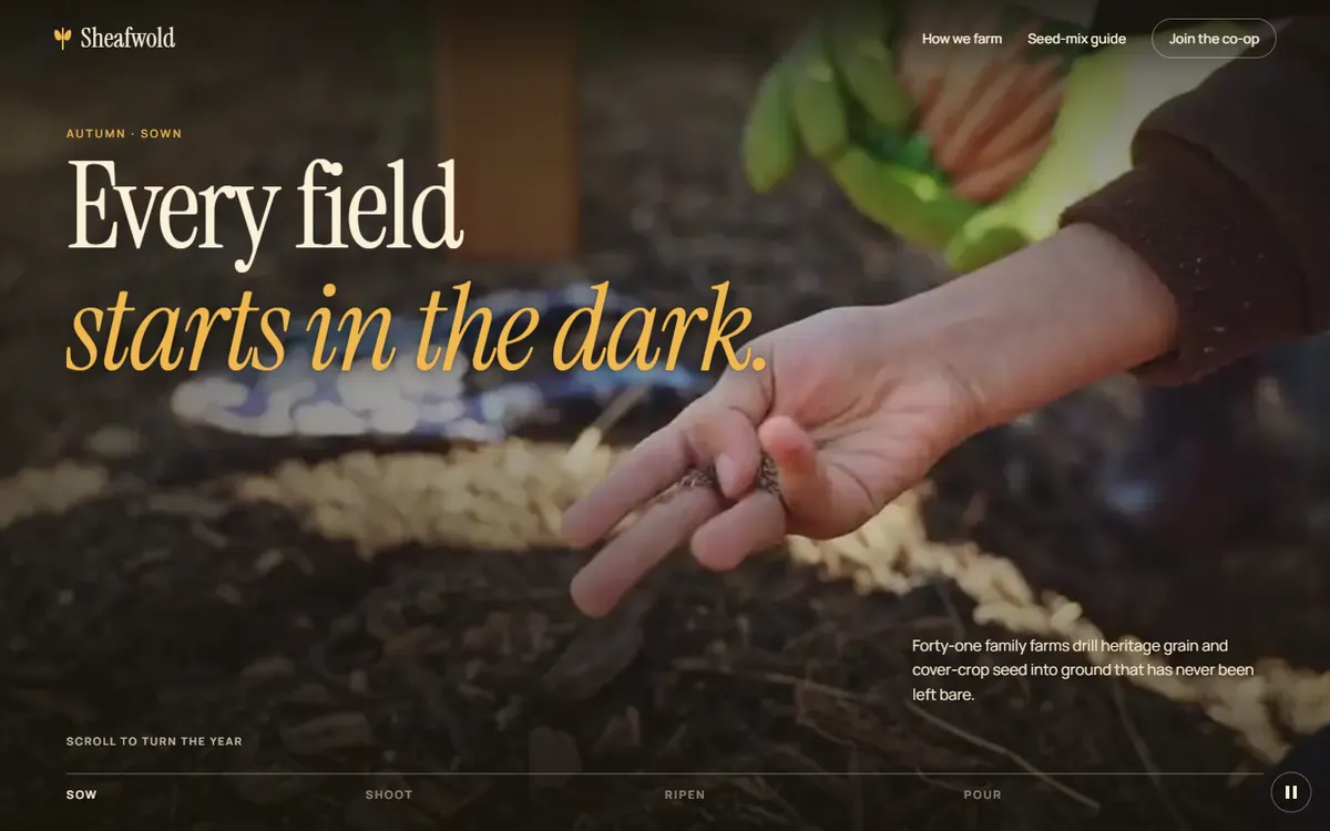 Sheafwold: a grain co-op's field year, played by scroll website template